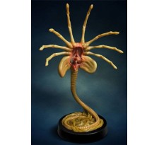 Aliens Replica 1/1 Facehugger 72 cm